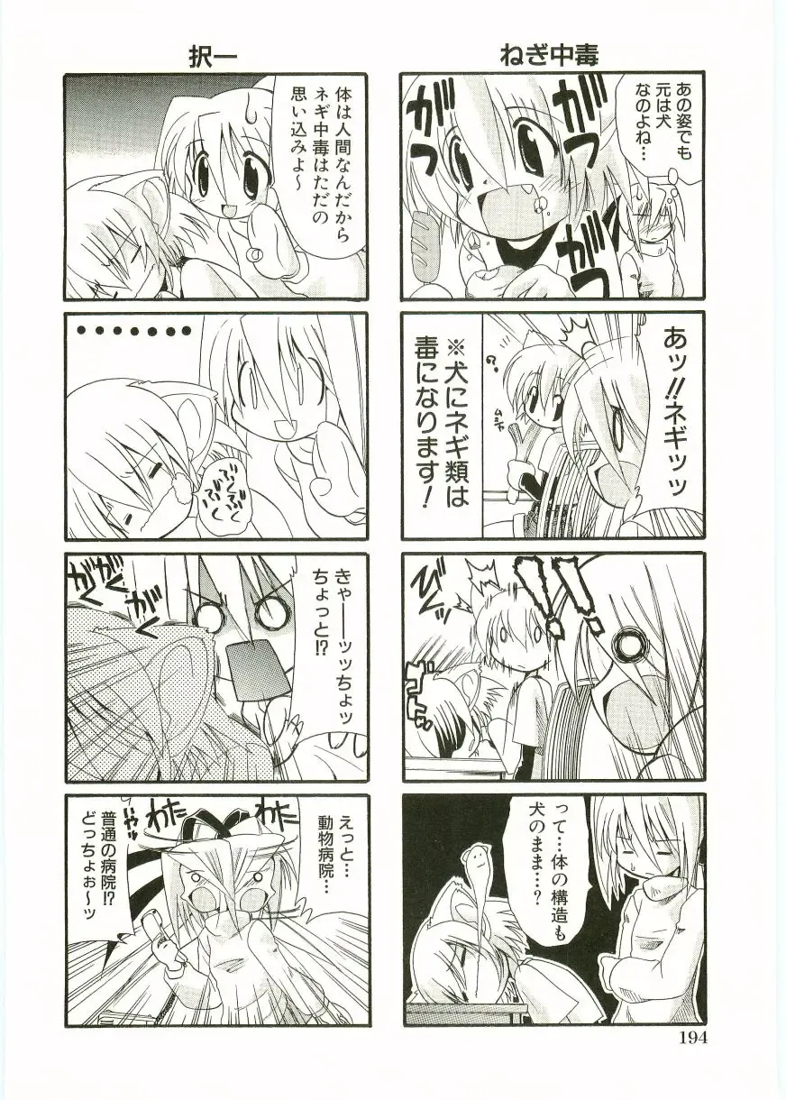 Shotagari Vol. 1 Abunai Onee-san Fhentai - Page 196