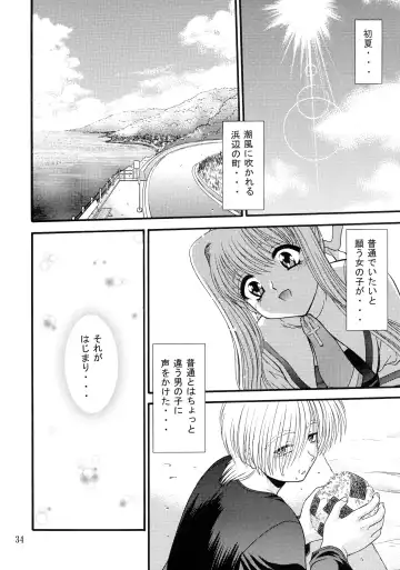 [Blue Blood] BLUE BLOOD'S Vol. 9 Fhentai - Page 33