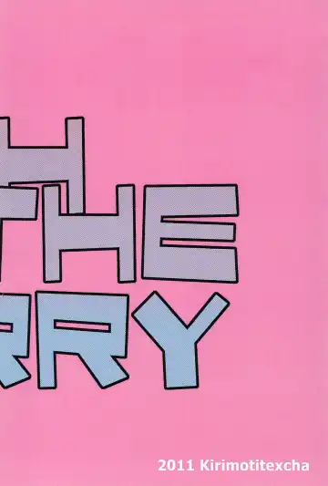 [Yoyoyoyou] Yacchauzo!! Fhentai - Page 16