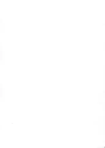 [Kamelie] Arashi no Himeta Koigokoro Fhentai - Page 20