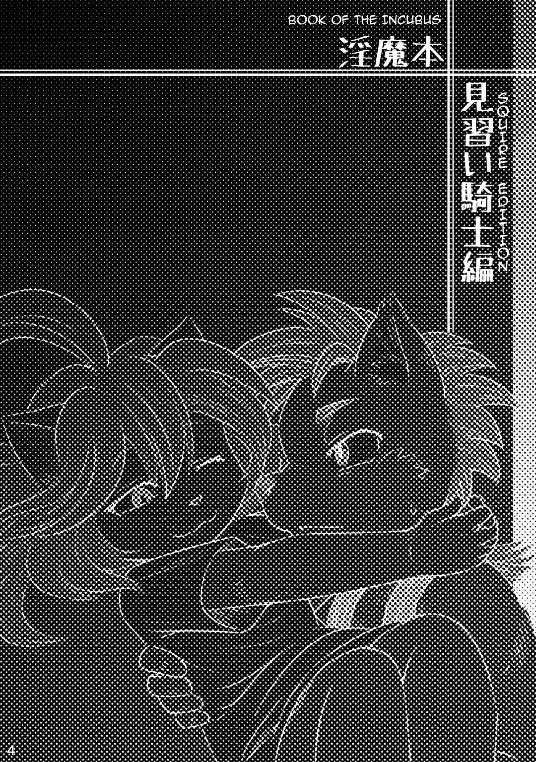 [Mizusawa Nino] Inma Bon Minarai Kishi Hen | Book of the Incubus : Squire Edition Fhentai - Page 4