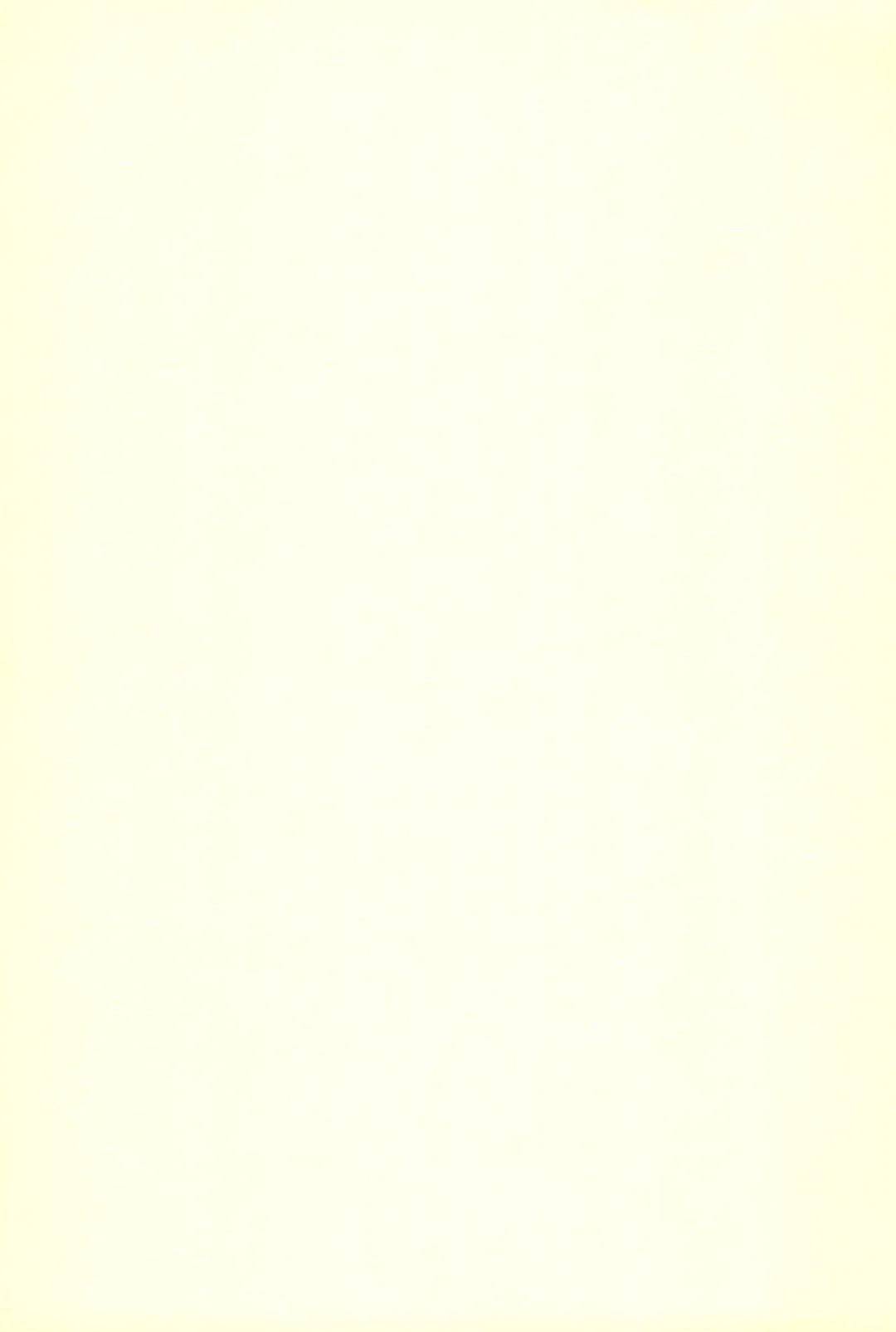 [Yoyoyoyou] Chikubi ni Soudan Fhentai - Page 11