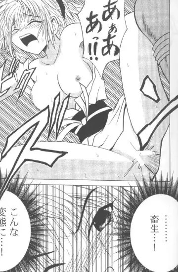 [Crimson - Mito Sounosuke] Shinshuku Jizai no Ai Fhentai - Page 13