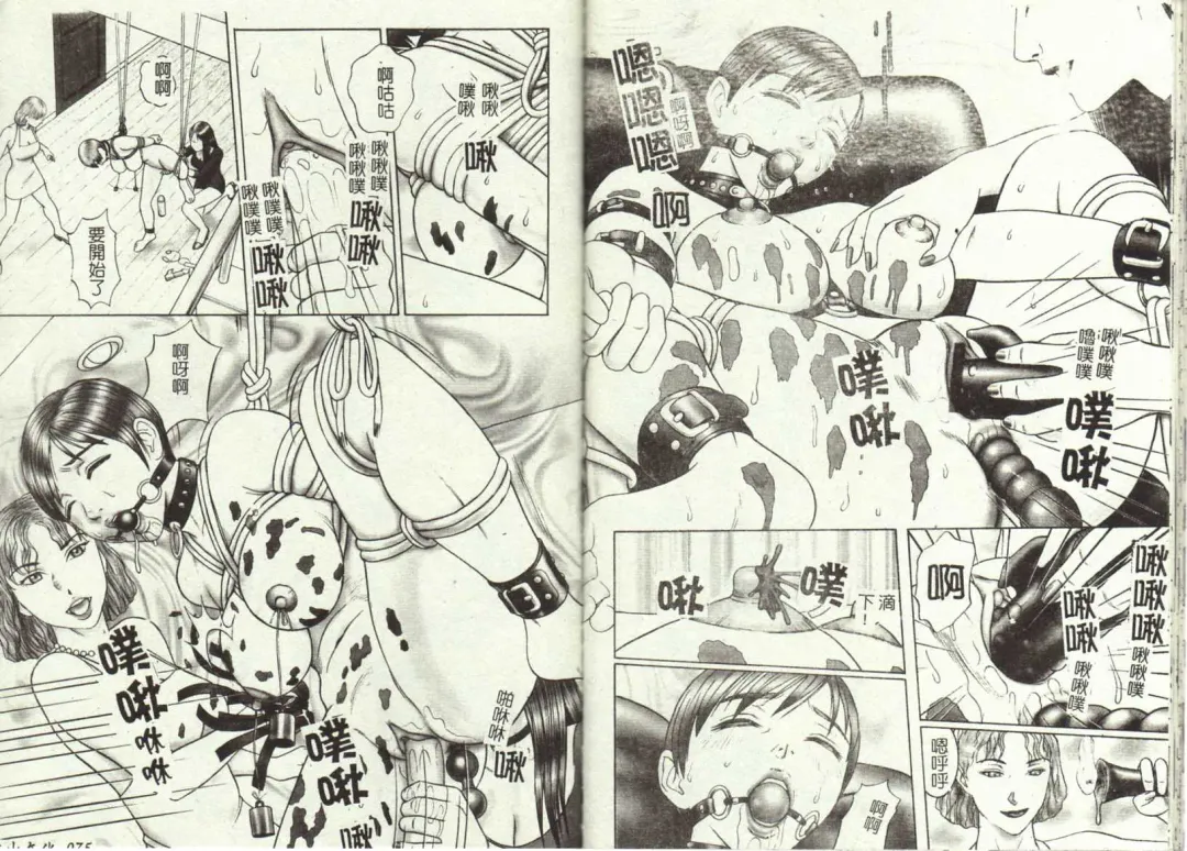 [Cobolt] Doreizuma - The Slave Wife Fhentai - Page 40