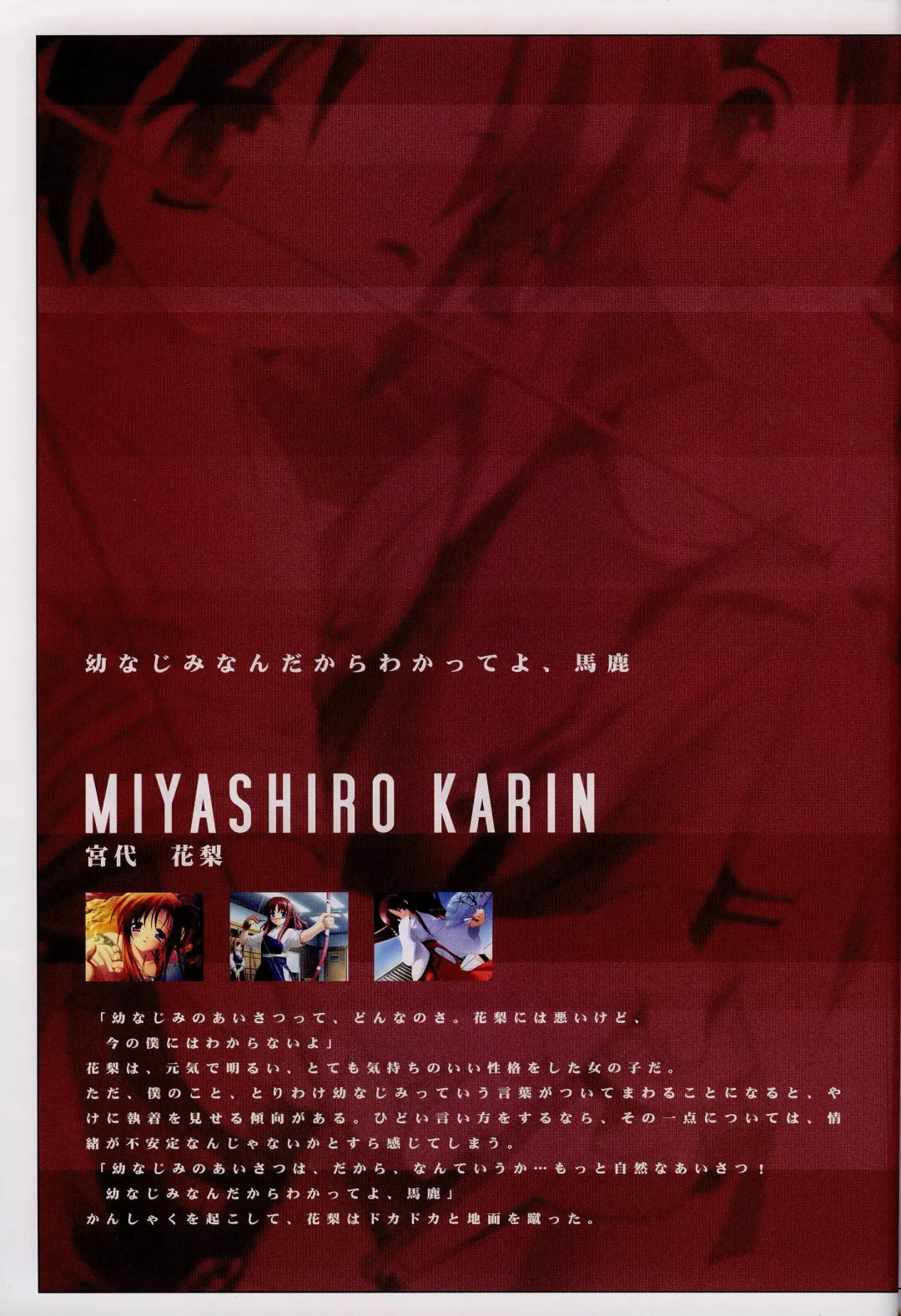 [Gayarou] Suigetsu Visual Fan Book Fhentai - Page 32