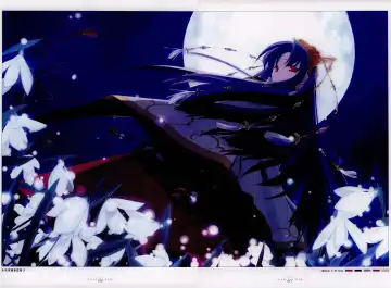 [Gayarou] Suigetsu Visual Fan Book Fhentai - Page 13