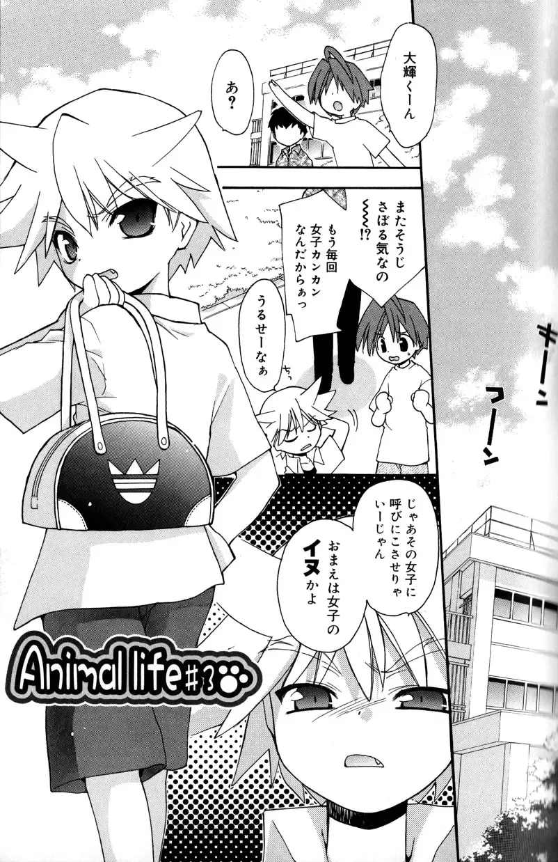 [Konata Hyuura] Boku no Animal Life - My Animal Life Fhentai - Page 31