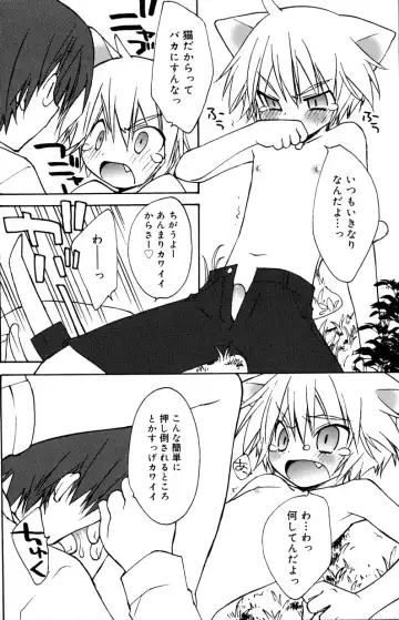 [Konata Hyuura] Boku no Animal Life - My Animal Life Fhentai - Page 180