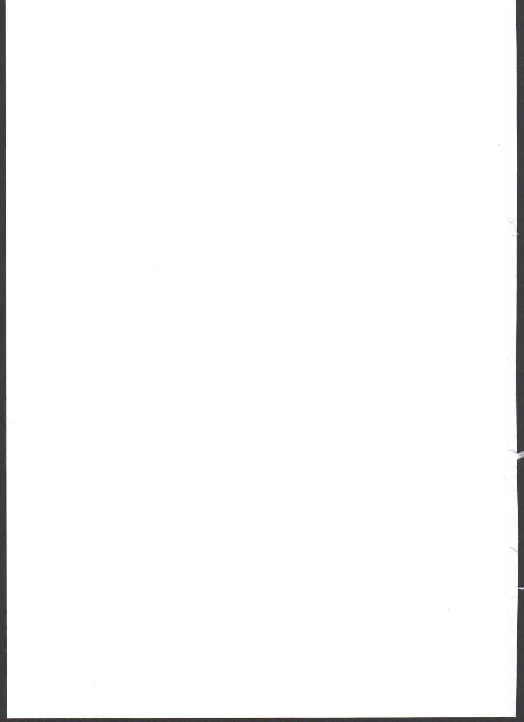 [Chouchin Ankou] System desu kara #2 Fhentai - Page 19