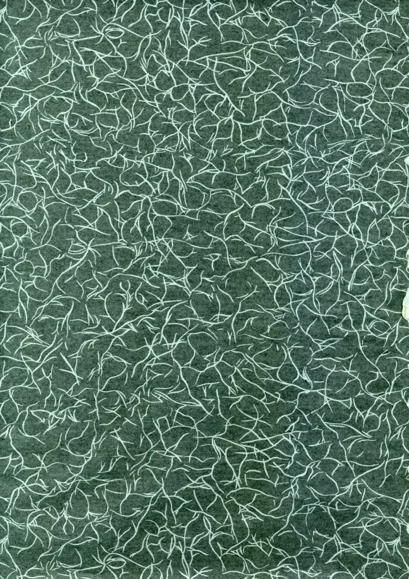 [Kawarajima Koh - Sazanami Kazuto] Sakura-Ame CROQUIS Fhentai - Page 2