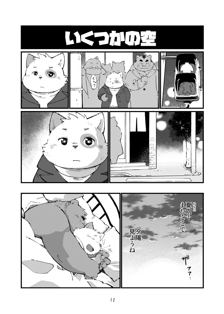 [Garouzuki - Mega - Mochi] Matachi Chino hon Fhentai - Page 13