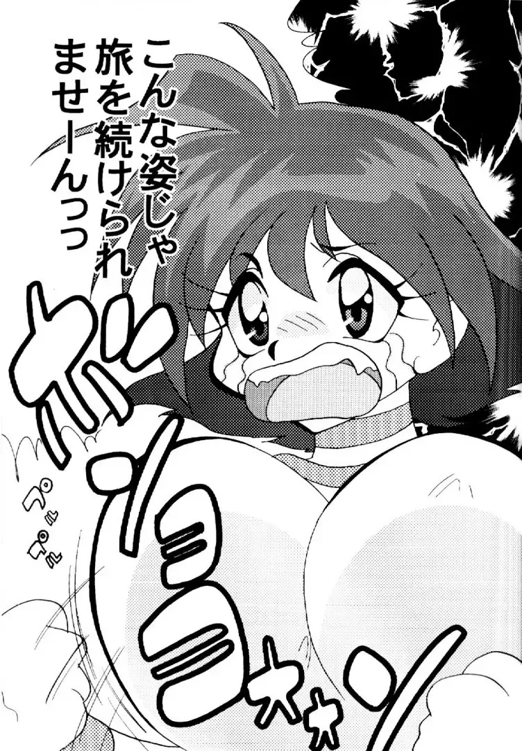 [Mita Satomi] Slayers Adult 10 Fhentai - Page 4