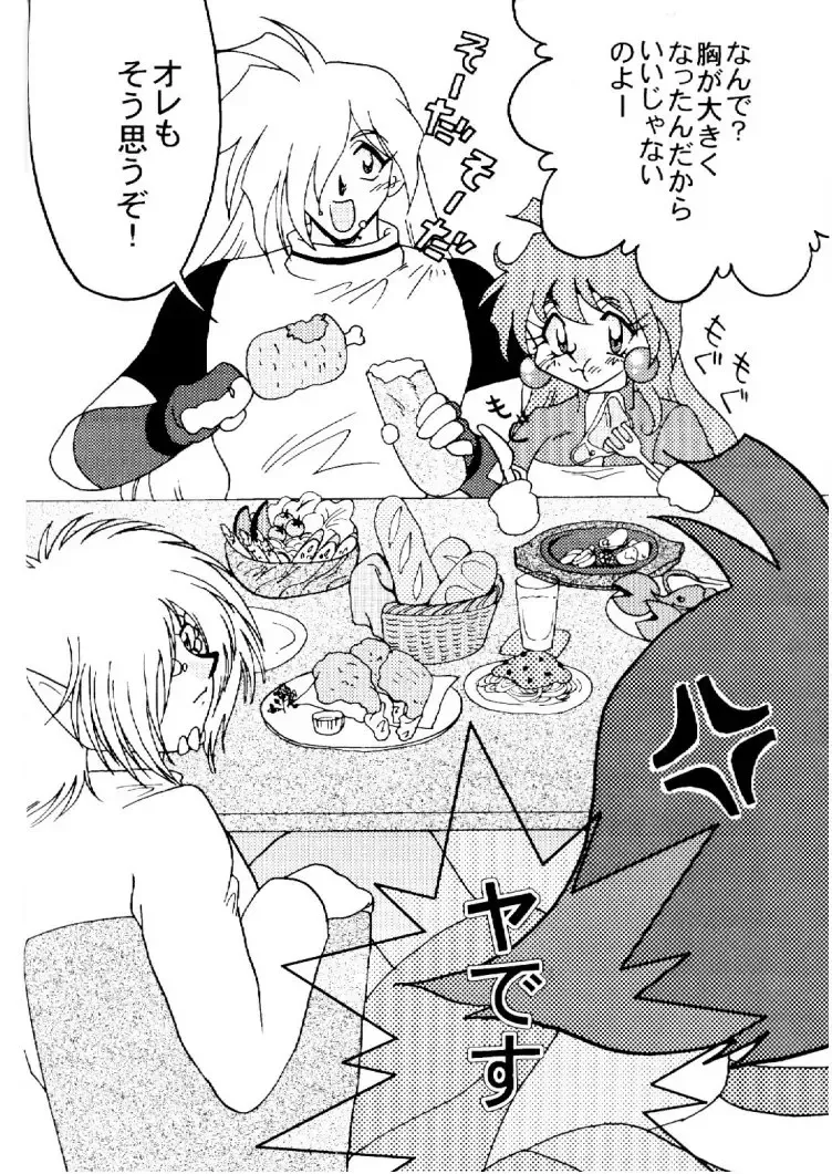 [Mita Satomi] Slayers Adult 10 Fhentai - Page 5