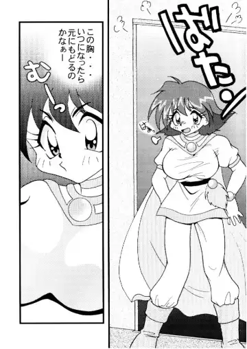 [Mita Satomi] Slayers Adult 10 Fhentai - Page 9