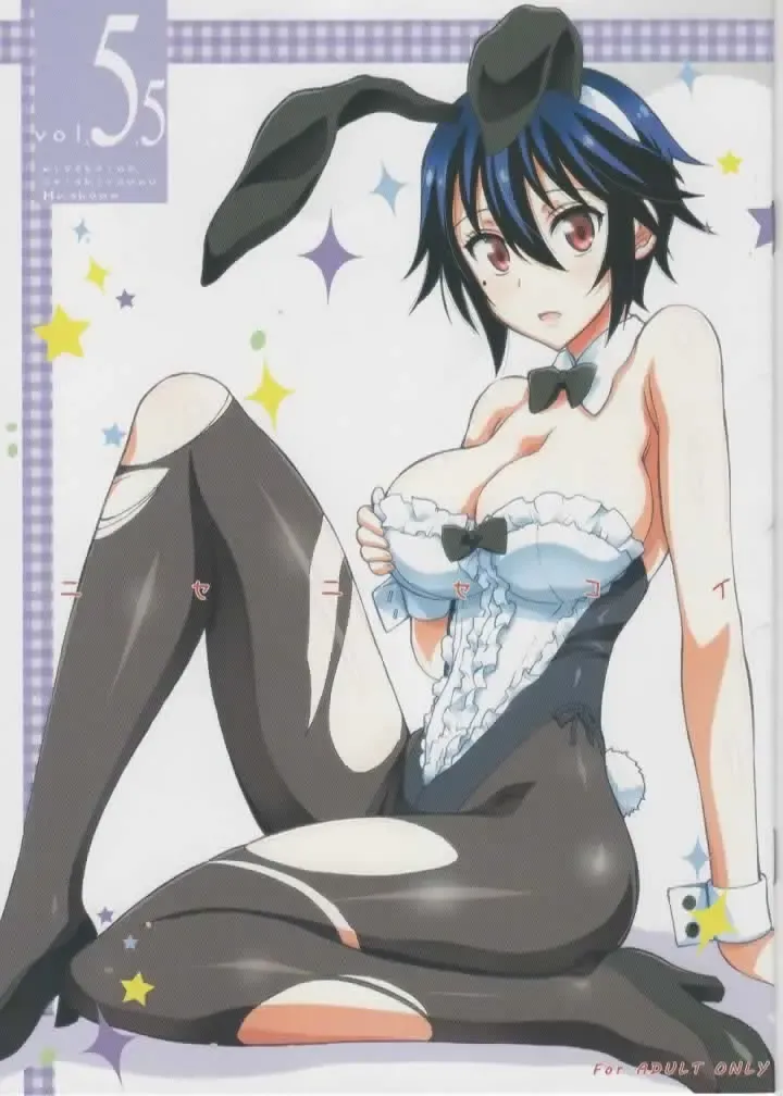 [Kaishaku] Nisenisekoi 5.5 Fhentai - Page 1