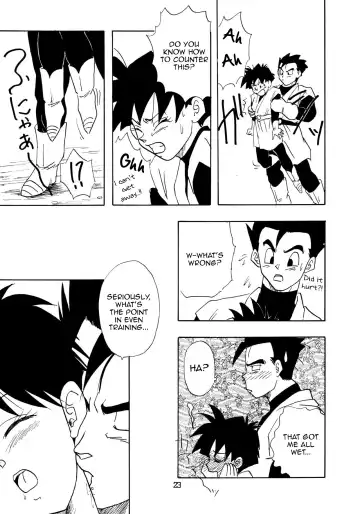 [Shouji Haruko - Shouji Haruzo] YYY Fhentai - Page 23