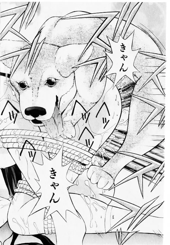 COMIC Shoujo Tengoku 2002-11 Fhentai - Page 150