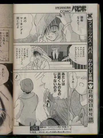 Comic Papipo 1996-04 Fhentai - Page 182