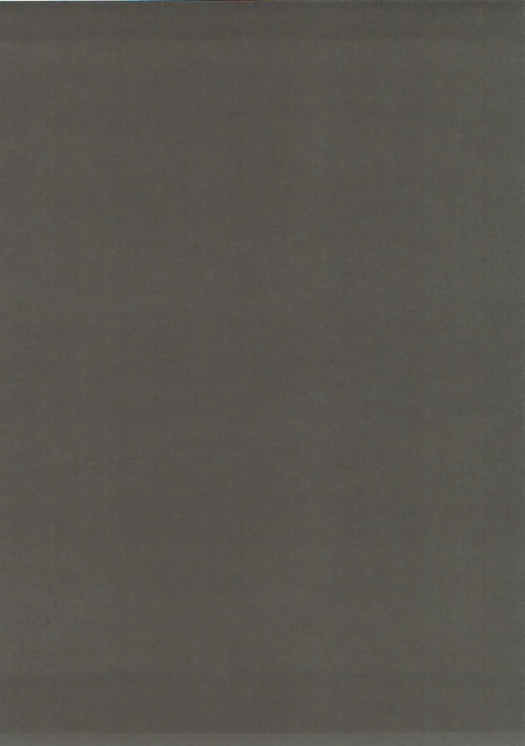 [Takkii] Shokukan Magician Girl Fhentai - Page 16