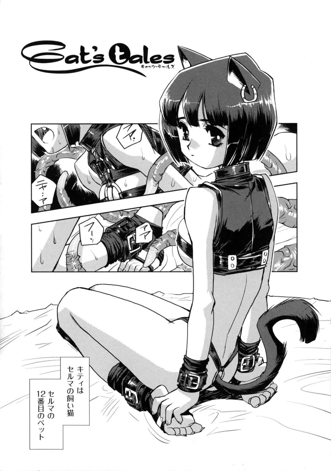 [Kajiyama Hiroshi] Inma No Ryouiki Fhentai - Page 89