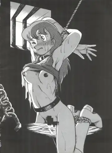 [Oosaka Hananoko] 陰門娼郭 Fhentai - Page 27