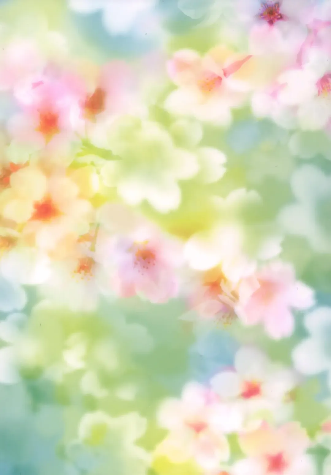 [Marui Ryuu] Sakura Mankai Roman no Arashi! Fhentai - Page 24