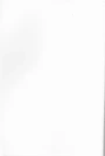 [Nezu Akira] WANTED Fhentai - Page 2