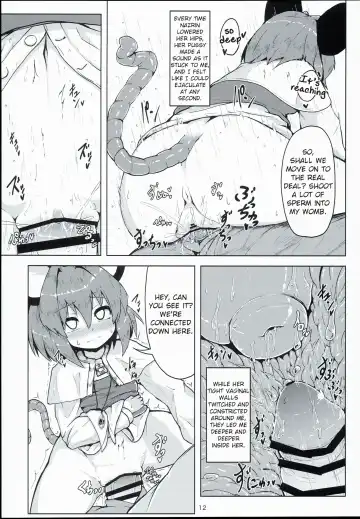 [Peso] Otonari wa Nazrin Fhentai - Page 11