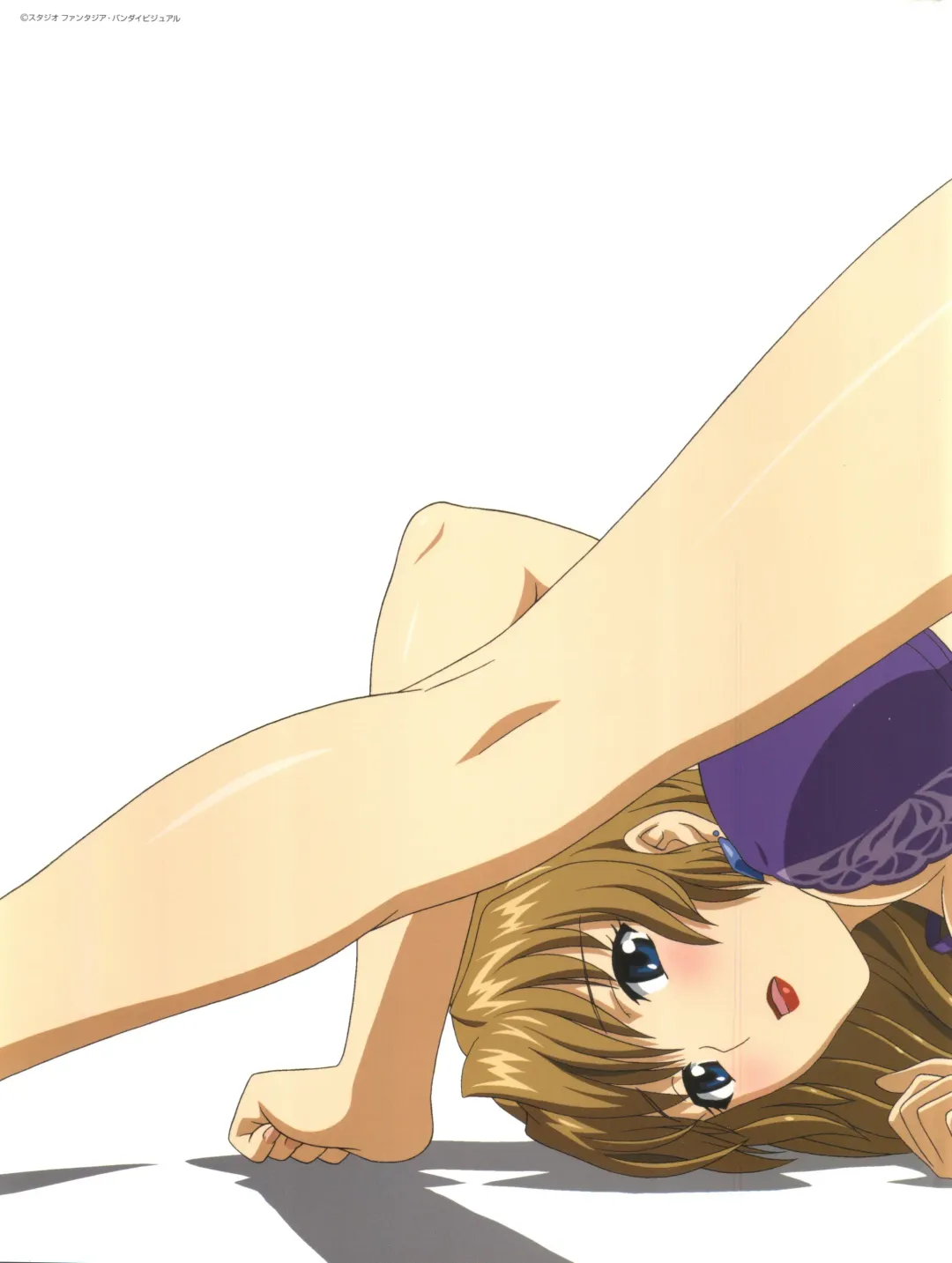 [Yamauchi Noriyasu] Aika Complete Fanbook Fhentai - Page 2