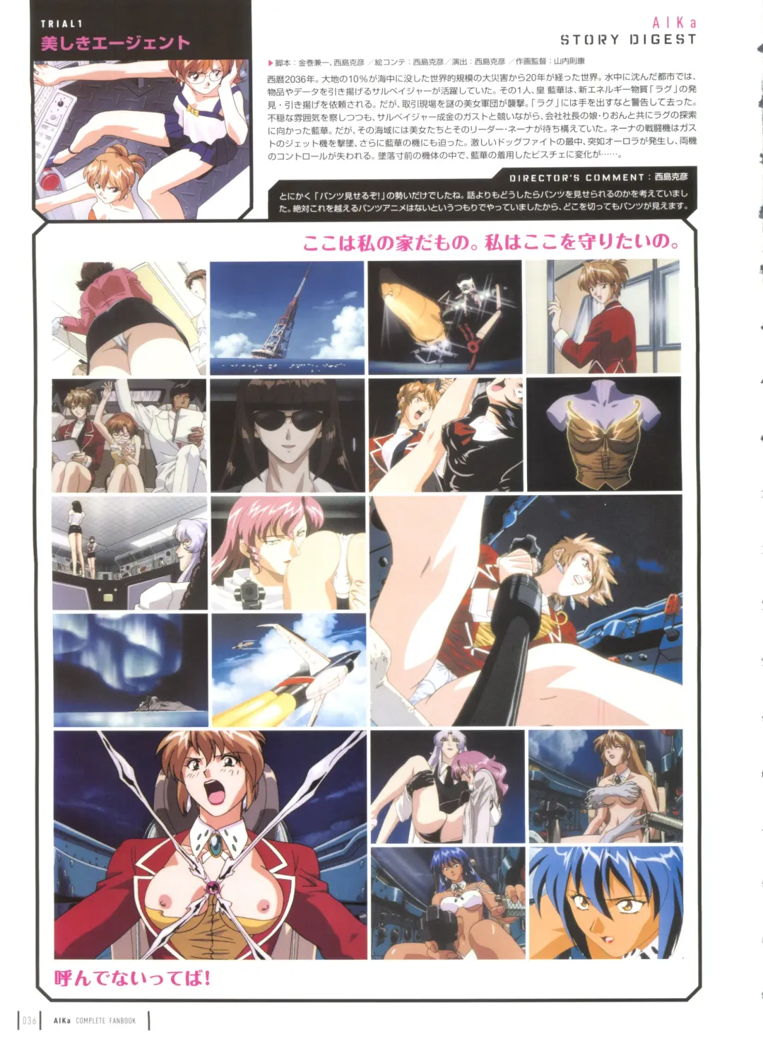 [Yamauchi Noriyasu] Aika Complete Fanbook Fhentai - Page 39