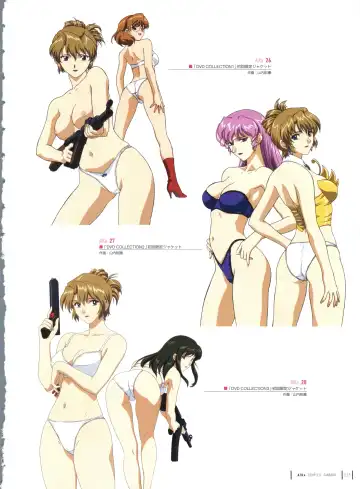 [Yamauchi Noriyasu] Aika Complete Fanbook Fhentai - Page 18