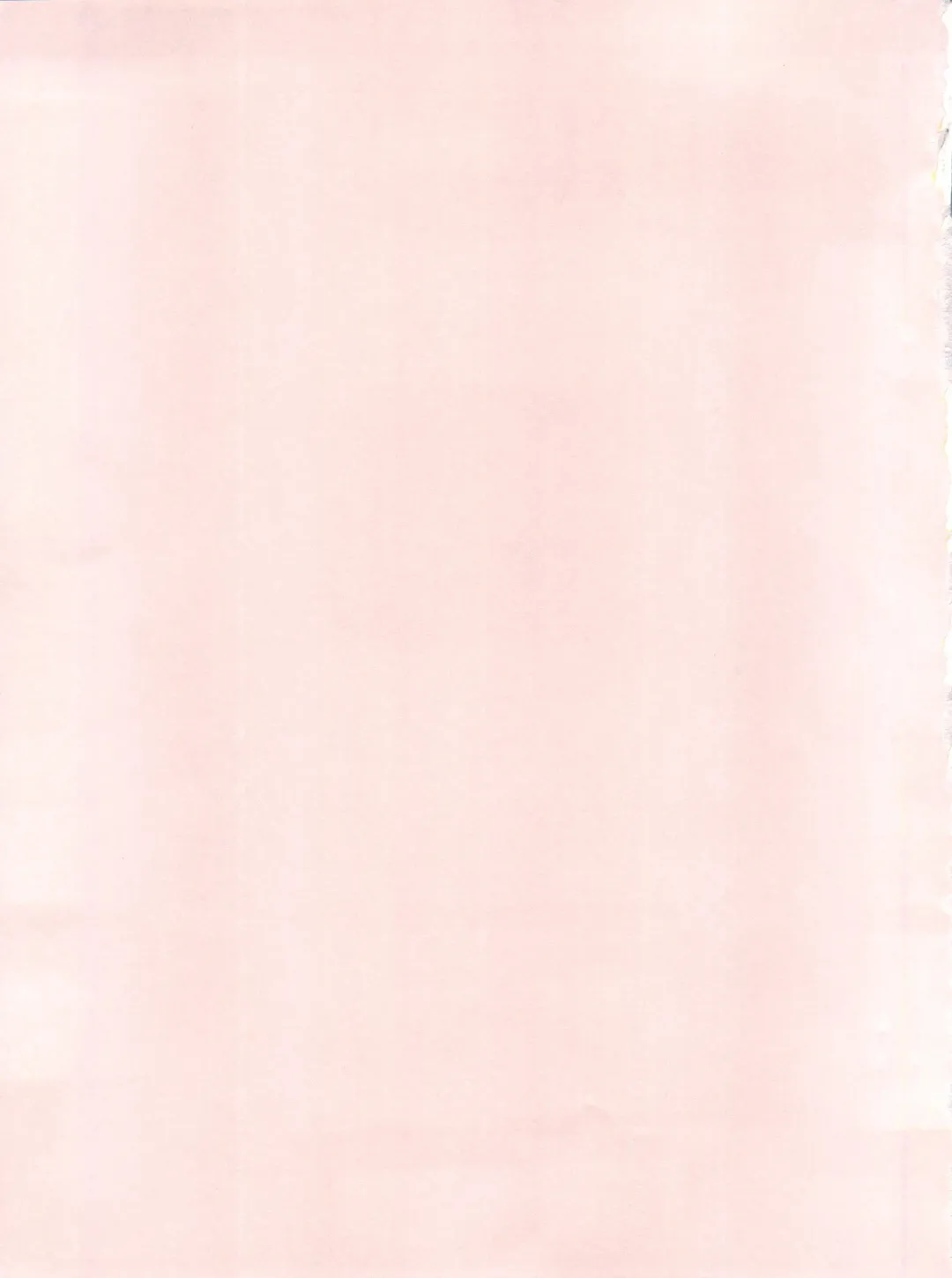 PINK MACADAMIAN Vol. 2 Fhentai - Page 3