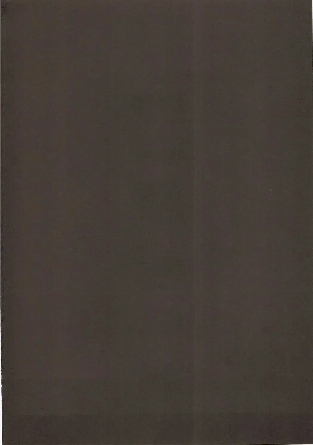 [Akaneman] Shinshoku Seijo ChaosTide Fhentai - Page 3