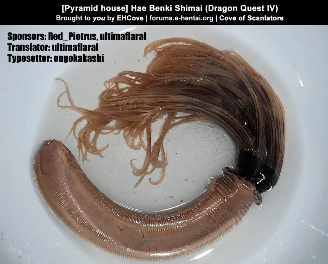 Hae Benki Shimai | Fly Cum-Dump Sisters Fhentai - Page 34