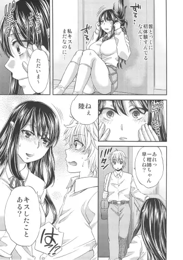 [Harusawa] Wagamama na Ane no Fujitsu na Kajitsu Fhentai - Page 10