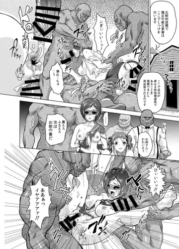 [Nolia] Dominate Orc ~Kachiku Ika to Sareta Mijime na Ningenzoku~ Fhentai - Page 44