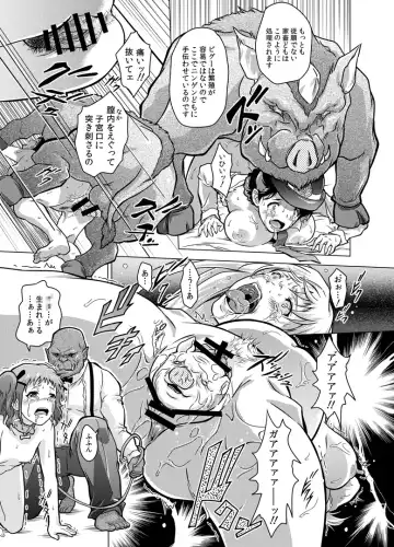 [Nolia] Dominate Orc ~Kachiku Ika to Sareta Mijime na Ningenzoku~ Fhentai - Page 47