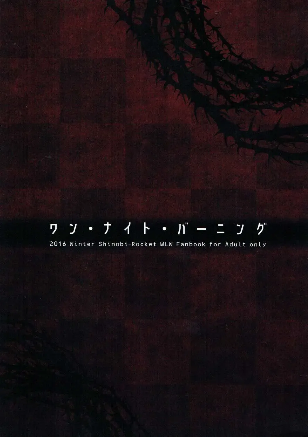 [Sasamashin] One Night Burning Fhentai - Page 18