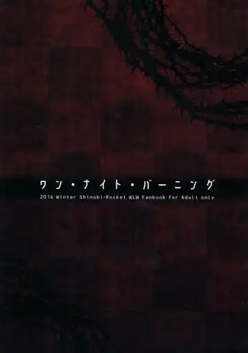 [Sasamashin] One Night Burning Fhentai - Page 18