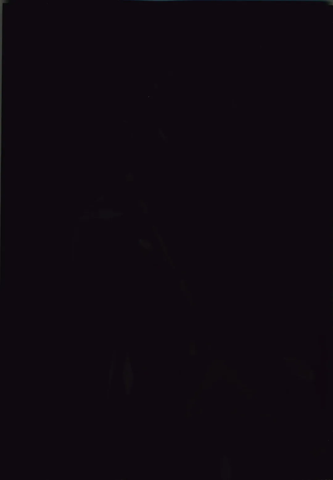 [Junk Kameyoko] Okaa-san Yoshiko 39-sai Fhentai - Page 115