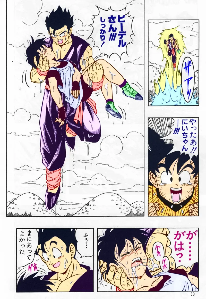 [Garland] DRAGONBALL H Soushuuhen Fhentai - Page 29