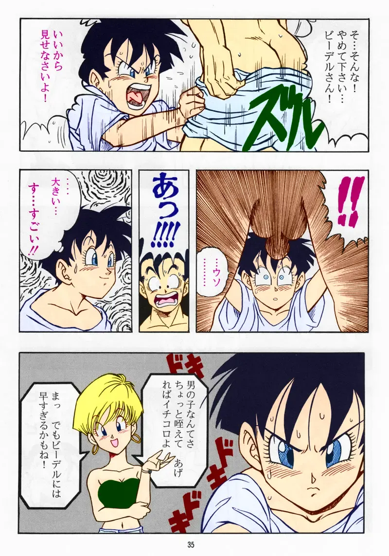 [Garland] DRAGONBALL H Soushuuhen Fhentai - Page 34