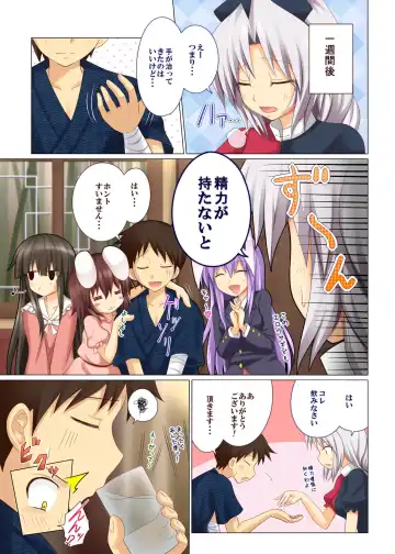 [Ginyou Haru] Gensoukyou Rakuenka Keikaku 03 Fhentai - Page 12