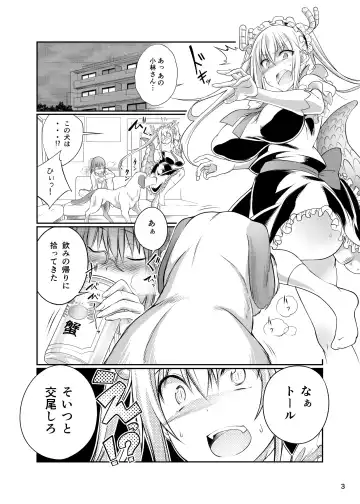 [Tenzen Miyabi] Kobayashi-san-chi no Inu Dragon Fhentai - Page 3