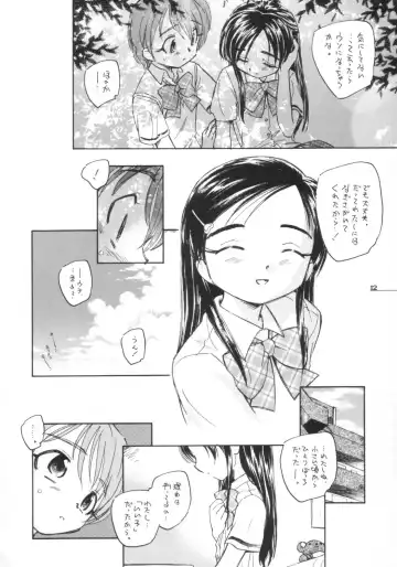 [Unno Hotaru] Precure dakara Hinnyuu Bon Fhentai - Page 13