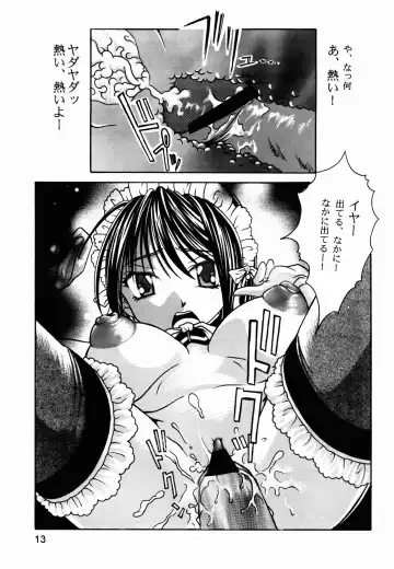 [Taku] Kore ga Watashi-tachi no Danna-sama Fhentai - Page 13