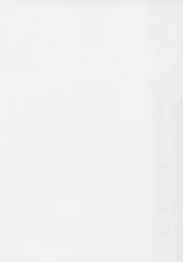 [Nametake] Granblue Ecchibon Fhentai - Page 3