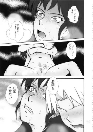 [Tsukino Jyogi] moonruler chronicle .2 Fhentai - Page 114