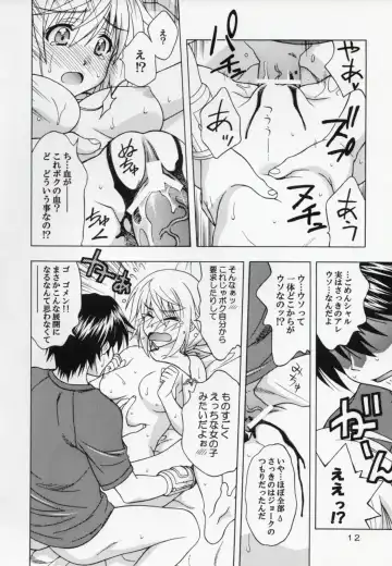 [Karura Syou] I.S.C Fhentai - Page 11
