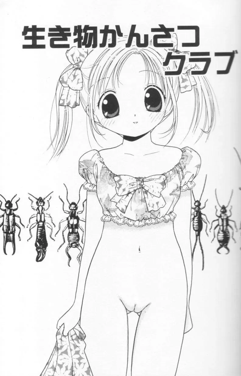 [Tonami Muka] Tenshi mo Nurechau Fhentai - Page 19